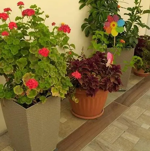 Niochori 3 Rhodes City